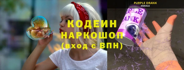 прущие грибы Вяземский