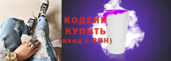 прущие грибы Вяземский
