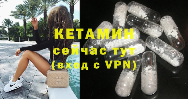 прущие грибы Вяземский