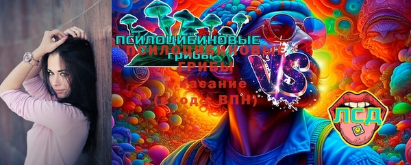 прущий лед Вязьма